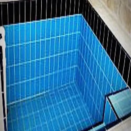 Royal Termal Gazligol